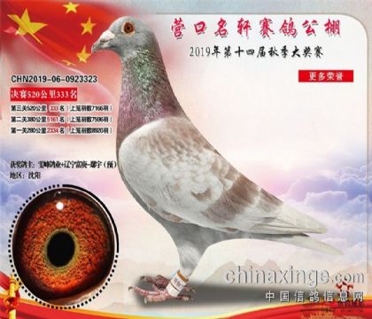 ����Ӫ���������빫��520�������333��   ��