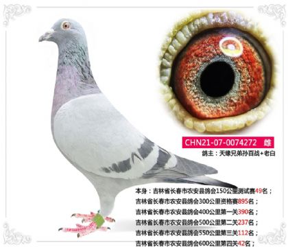 ����ʡ������ũ���ظ��600������Ĺ�42��   ��	