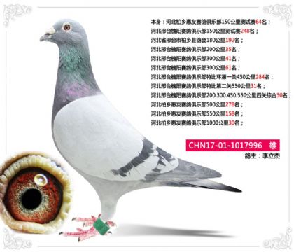 �ӱ��������������ֲ�1000����30��   ��	