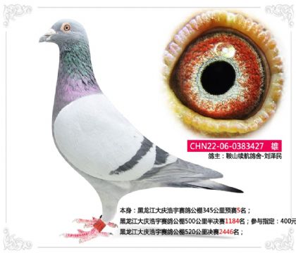 ����������������빫��345����Ԥ��5��   ��	