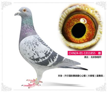 �����������밮�Ĺ�����������   ��	