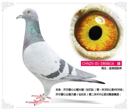 ���԰��ΰ-�������Ĺ������400����鳲������   ��	