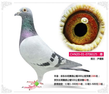 �����������빫��500�������62��   ��	