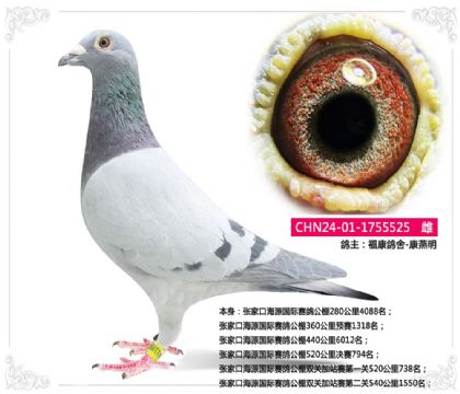 �żҿں�Դ�������빫��520�������794��   ��