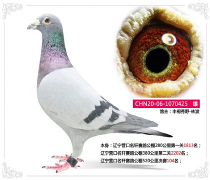 ����Ӫ���������빫��520�������104��  ��	