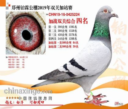 ֣�ݲ������빫���վ��˫���ۺ�4��   ��	