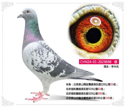 �����Ѻ�������ֲ�320����62��  ��	