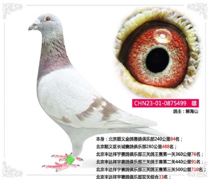 �����������������ֲ�˫���ۺ�33��   ��	