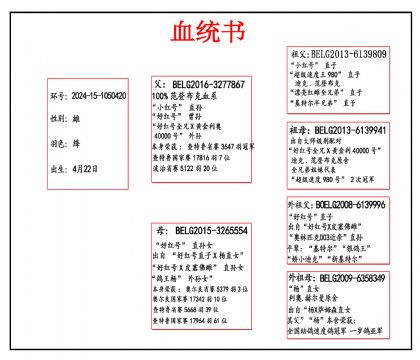 2024-15-1050420 血_副本