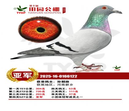 ֣����԰����2��