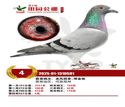 ֣����԰����4��