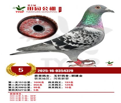 ֣����԰����5��