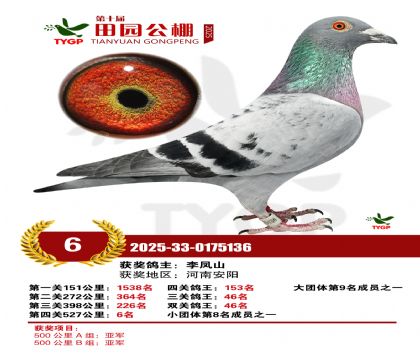 ֣����԰����6��