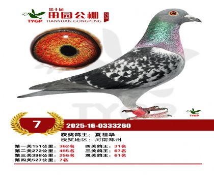 ֣����԰����7��