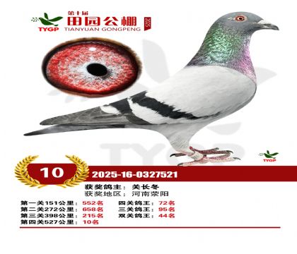 ֣����԰����10��