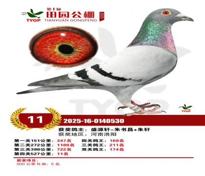 ֣����԰����11��