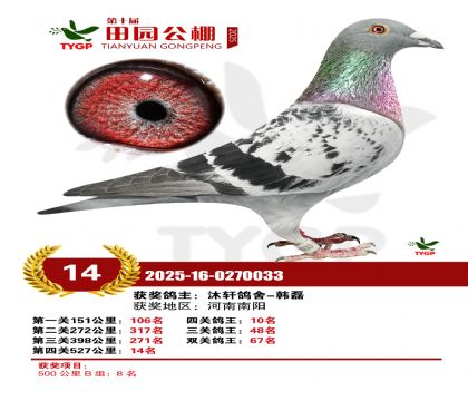 ֣����԰����14��