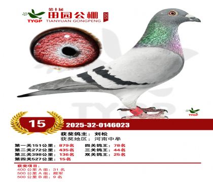 ֣����԰����15��