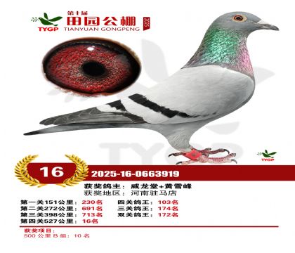 ֣����԰����16��