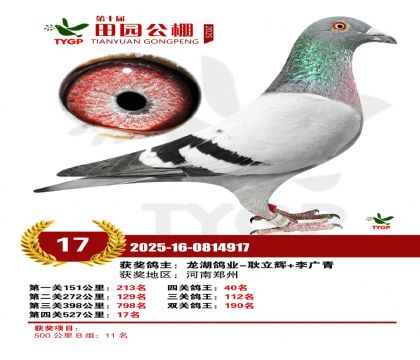 ֣����԰����17��