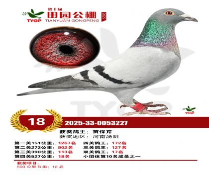 ֣����԰����18��