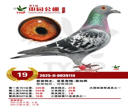 ֣����԰����19��