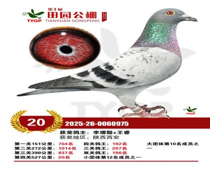 ֣����԰����20��