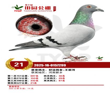 ֣����԰����21��