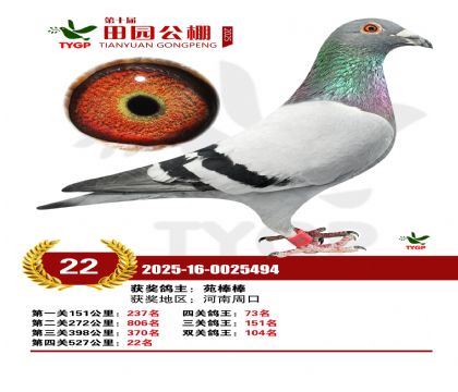 ֣����԰����22��