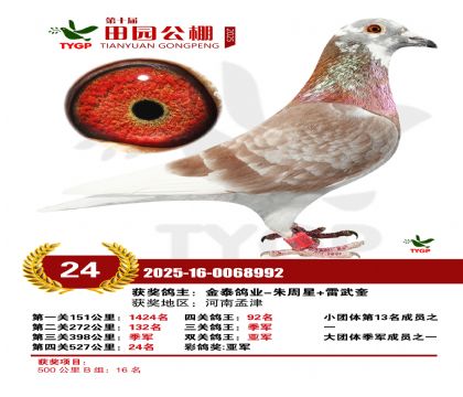 ֣����԰����24��