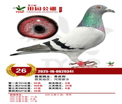 ֣����԰����26��