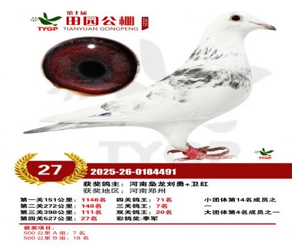 ֣����԰����27��