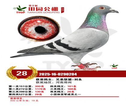 ֣����԰����28��