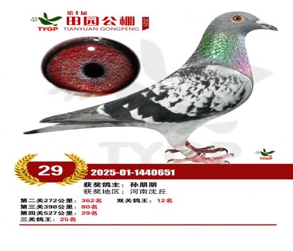 ֣����԰����29��