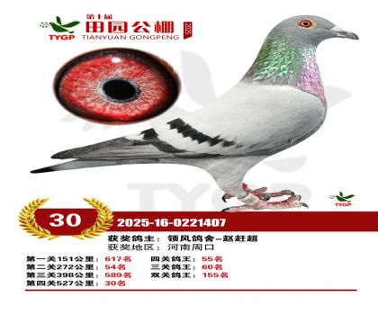 ֣����԰����30��