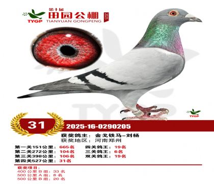 ֣����԰����31��