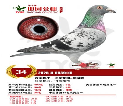 ֣����԰����34��