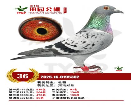 ֣����԰����36��