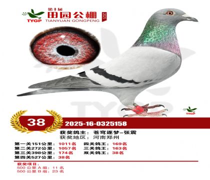 ֣����԰����38��