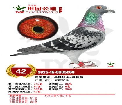 ֣����԰����42��