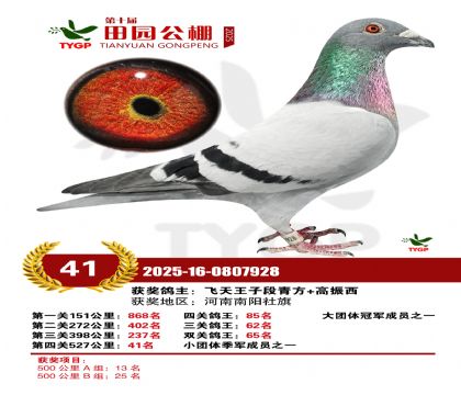 ֣����԰����41��