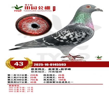 ֣����԰����43��