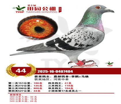 ֣����԰����44��