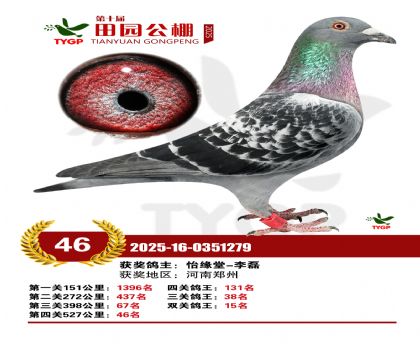 ֣����԰����46��