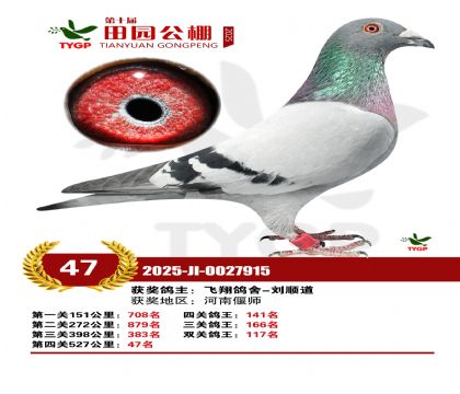 ֣����԰����47��