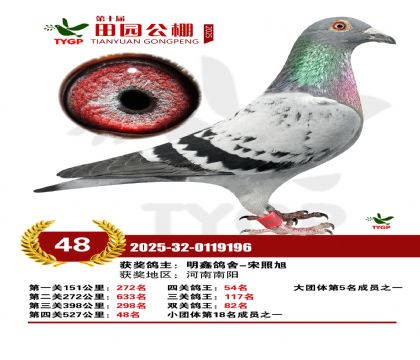 ֣����԰����48��