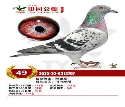 ֣����԰����49��