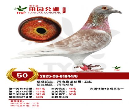 ֣����԰����50��