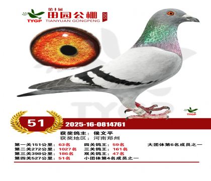 ֣����԰����51��