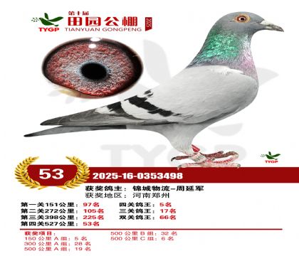 ֣����԰����53��